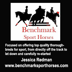 DBenchmark Sport Horses